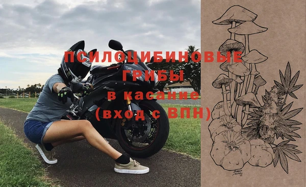 гашик Майский