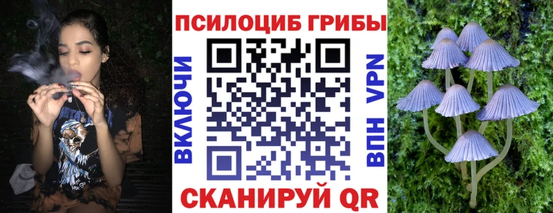 Галлюциногенные грибы Psilocybe  Кимовск 
