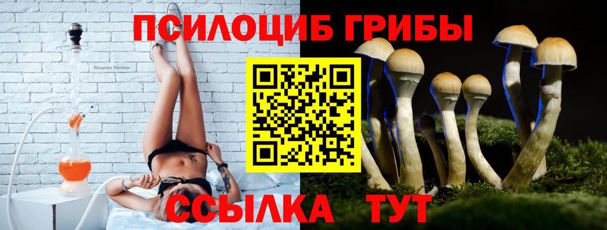 Псилоцибиновые грибы Psilocybine cubensis Кимовск