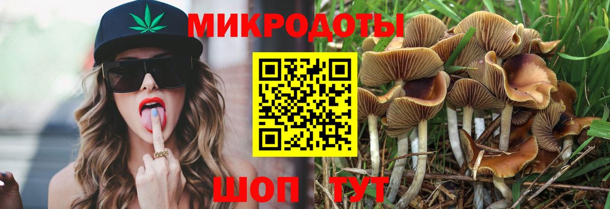 Кимовск  Псилоцибиновые грибы Magic Shrooms  Галлюциногенные грибы Psilocybe  как найти закладки  Вход с VPN 