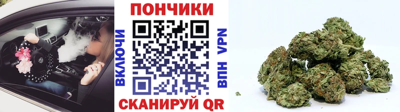 закладки  omg ТОР  Конопля сатива  Кимовск 